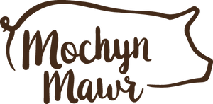 Mochyn Mawr